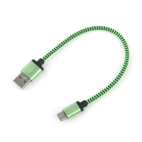 Coms 컴스 IB081 USB 3.1 케이블 (Type C) 20cm, Green/Snake