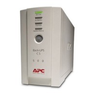APC 에이피씨 BK500EI APC BACK-UPS CS 500VA 230V USB/SERIAL