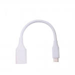 Coms 컴스 IE349 USB 3.1(Type C) 젠더(USB 3.0 AF)_White
